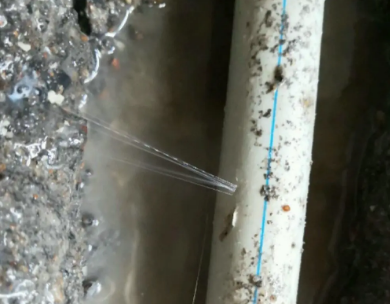 枝江测漏水哪家好