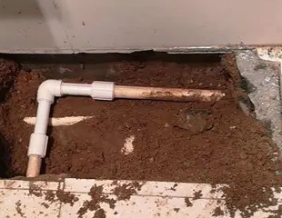 枝江测漏水哪家好