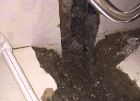 枝江卫生间测漏水哪家好