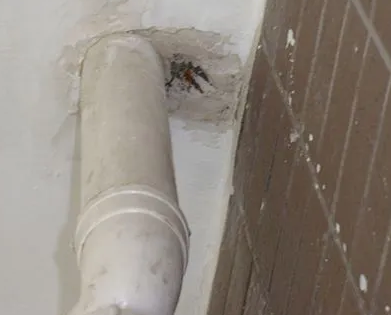 枝江漏水检测哪家好