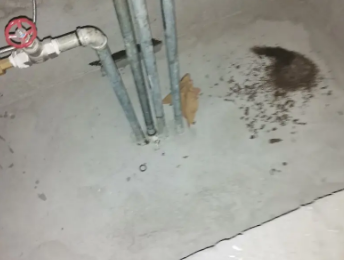 枝江卫生间测漏水价格明细
